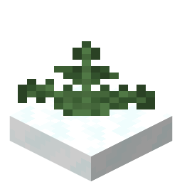 A fern submerged in snow