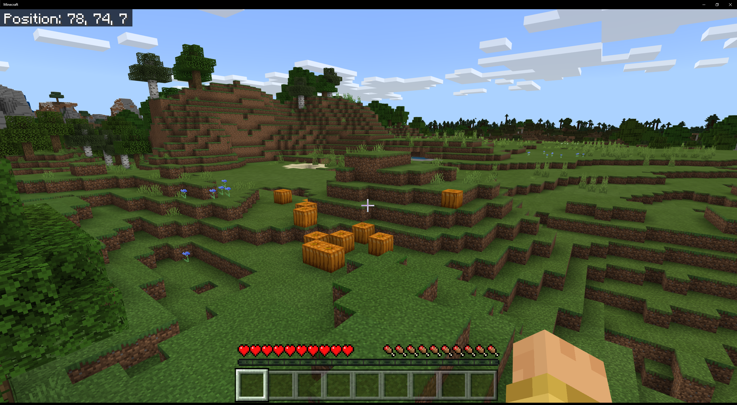 Bedrock Edition 1.17.30 – Minecraft Wiki